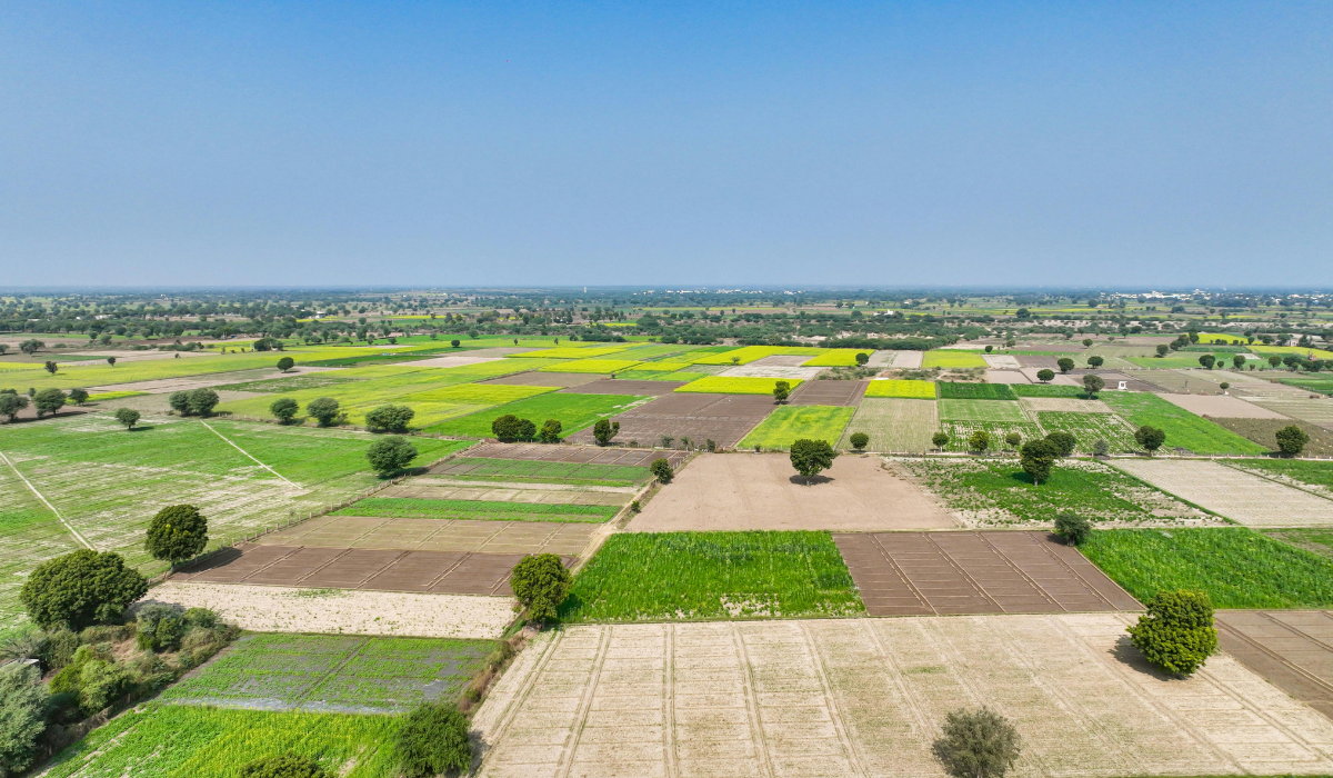 DTCP Approved Plots